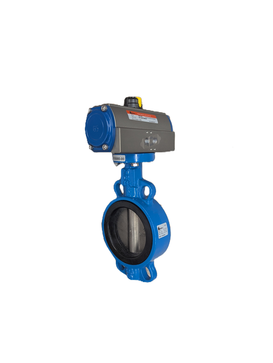 Butterfly Valve; c/w Air/Air Actuator