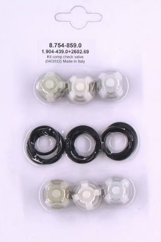 Check Valve Kit; Hotsy / Karcher SST Series