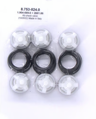 Check Valve Kit; Hotsy / Karcher Pump(KT Series) 4540, 5636, 6036