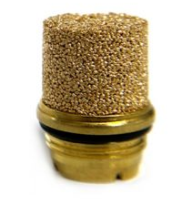 Snap Fuel Check Valve 100 PSI