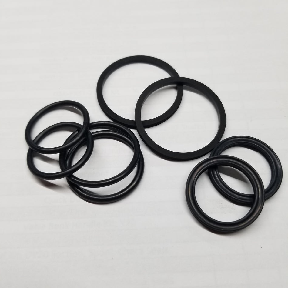 Seal Kit; V42 Section, Spool, Check Seals